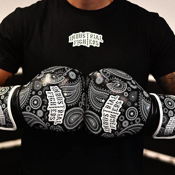 Boxeo